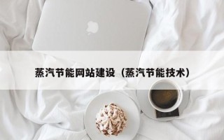 衡水蒸汽节能网站建设（蒸汽节能技术）